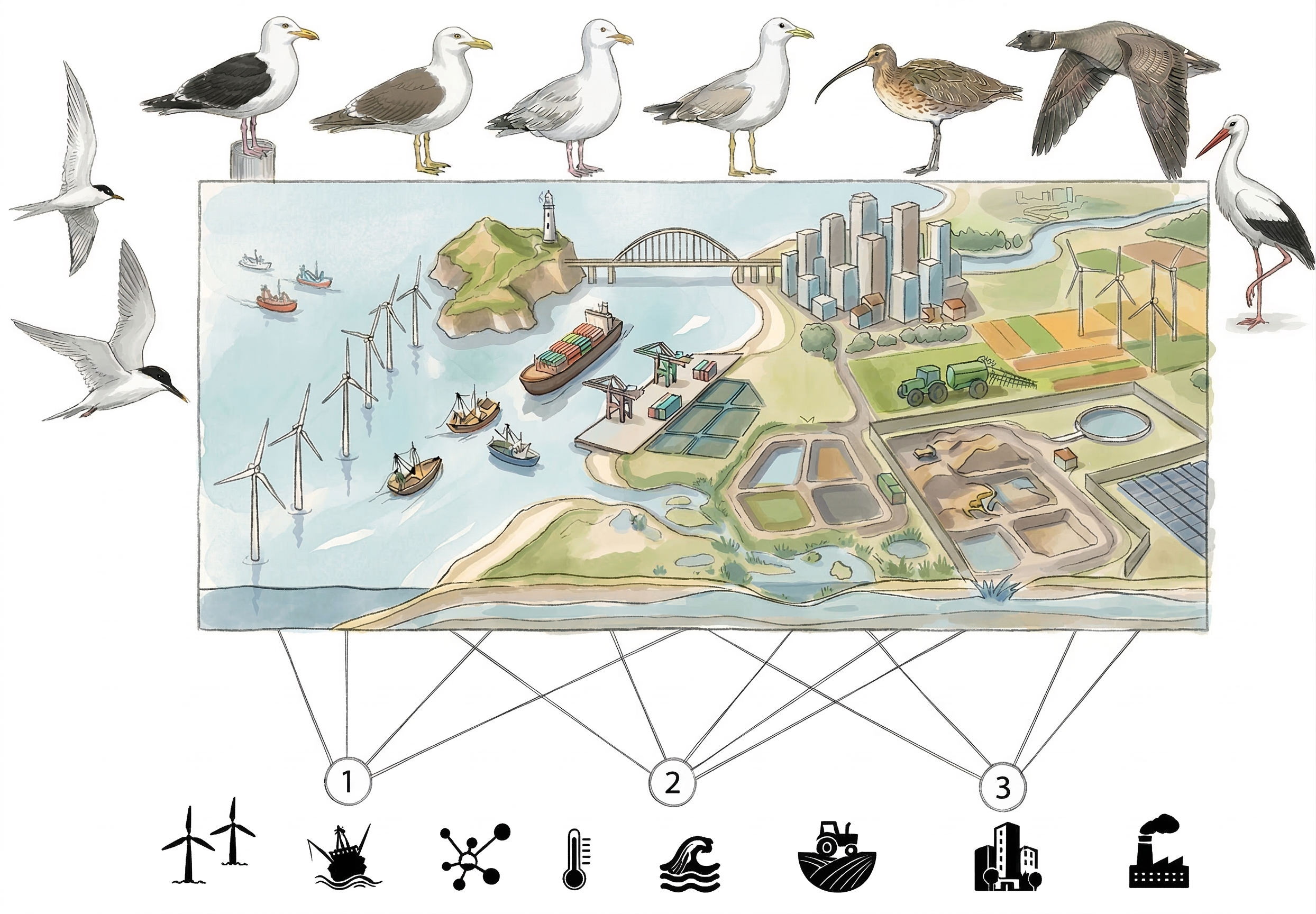 Schéma Gradient Terre-Mer Senti-Risk