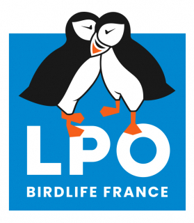 LPO