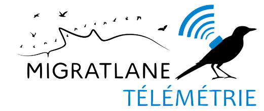 Migratlane