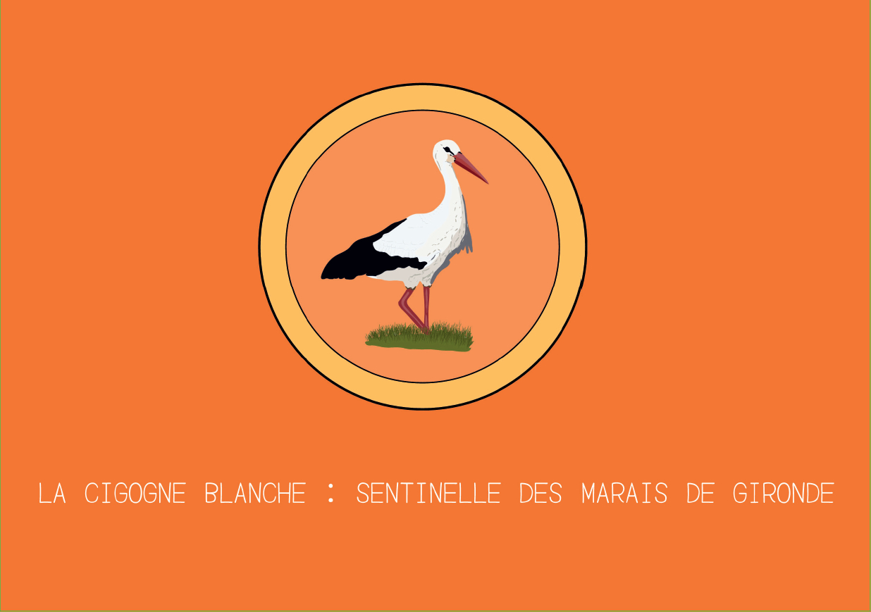 Couverture livret Cigogne