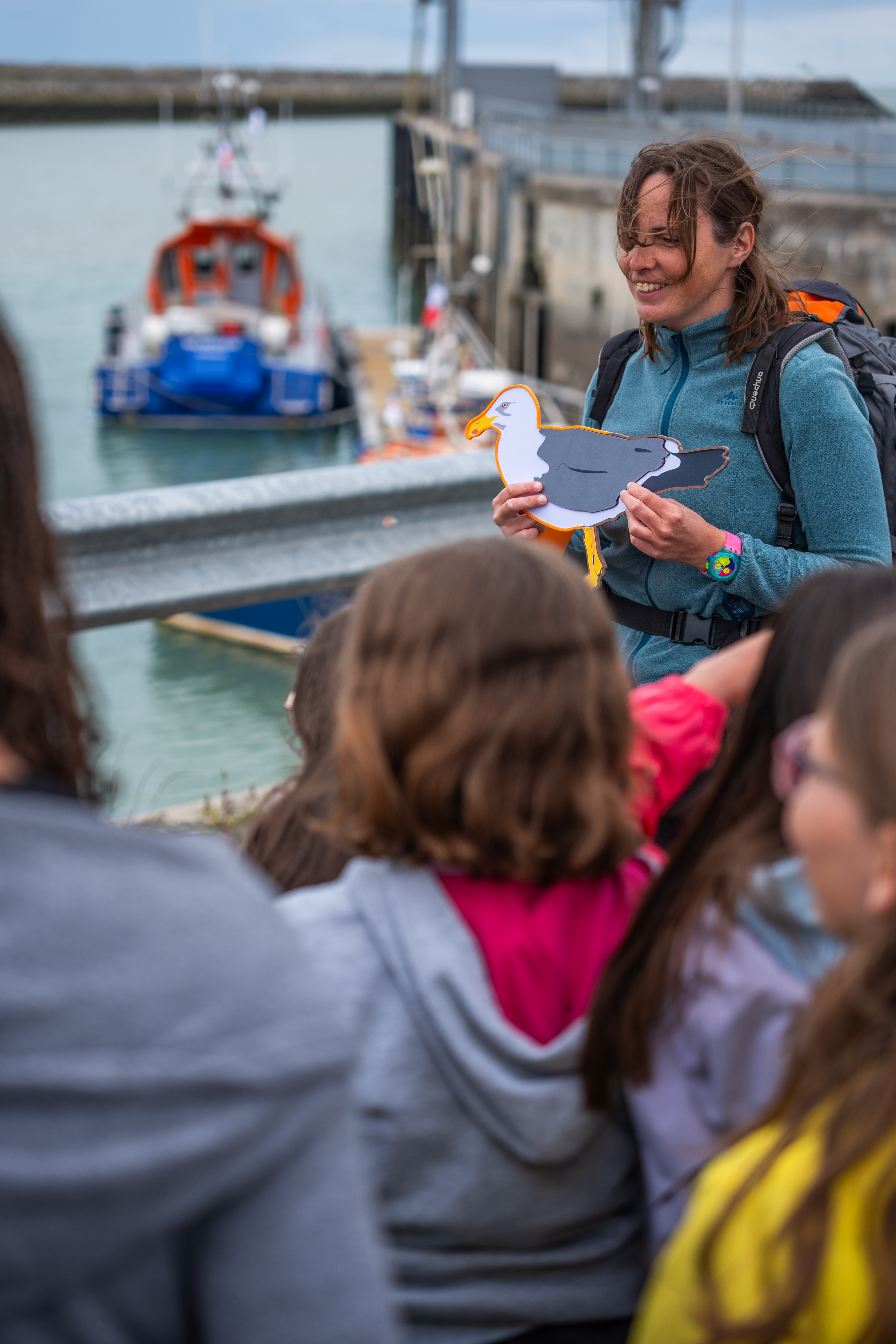 Sortie et ateliers goélands à La Rochelle